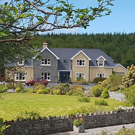 Greenlawn Lodge Lisdoonvarna Exterior foto